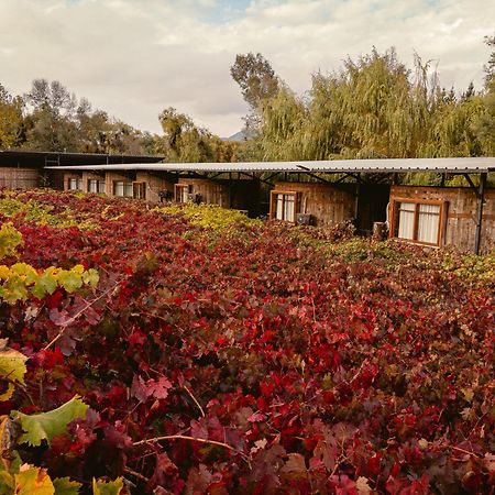 Cava Colchagua Hotel Boutique Santa Cruz Exterior photo