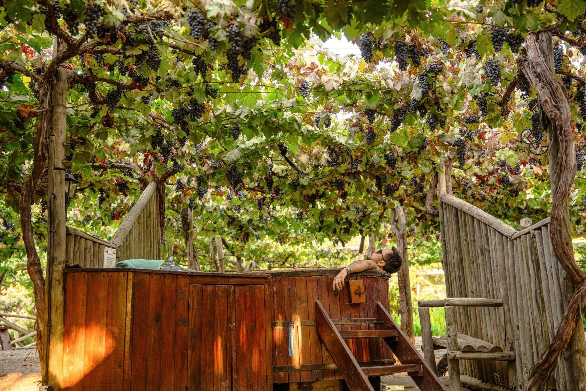 Cava Colchagua Hotel Boutique Santa Cruz Exterior photo