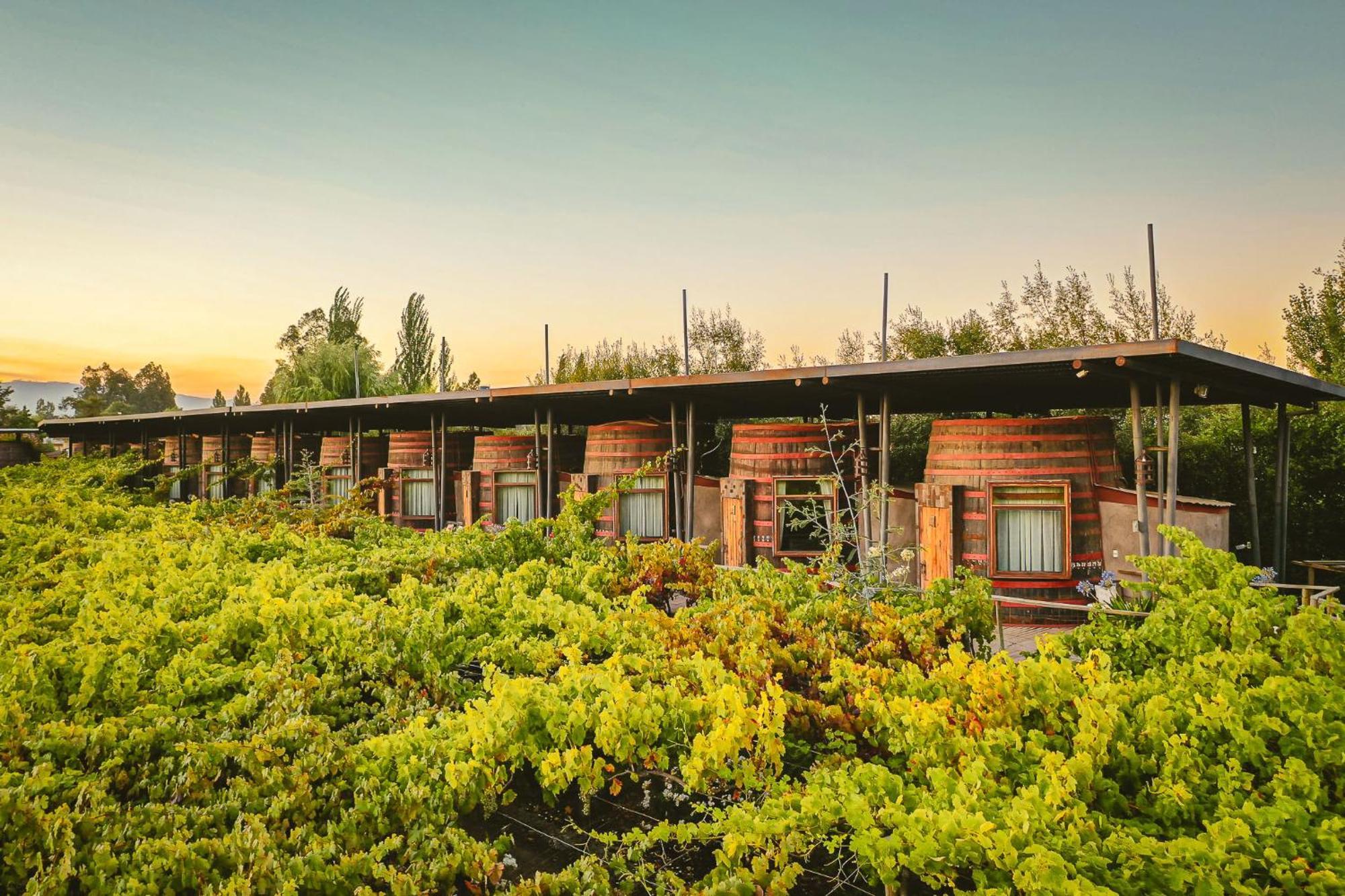 Cava Colchagua Hotel Boutique Santa Cruz Exterior photo