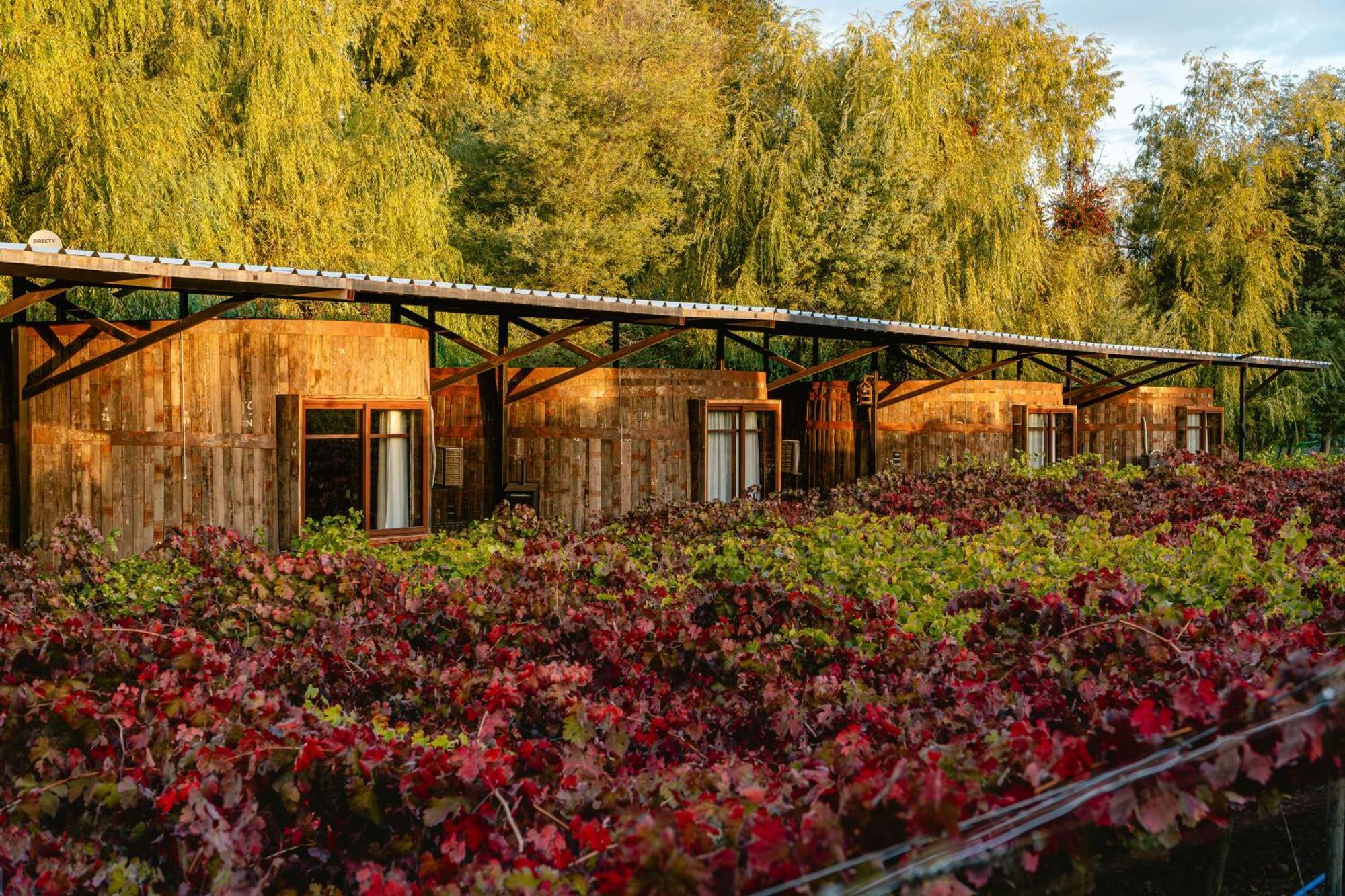 Cava Colchagua Hotel Boutique Santa Cruz Exterior photo