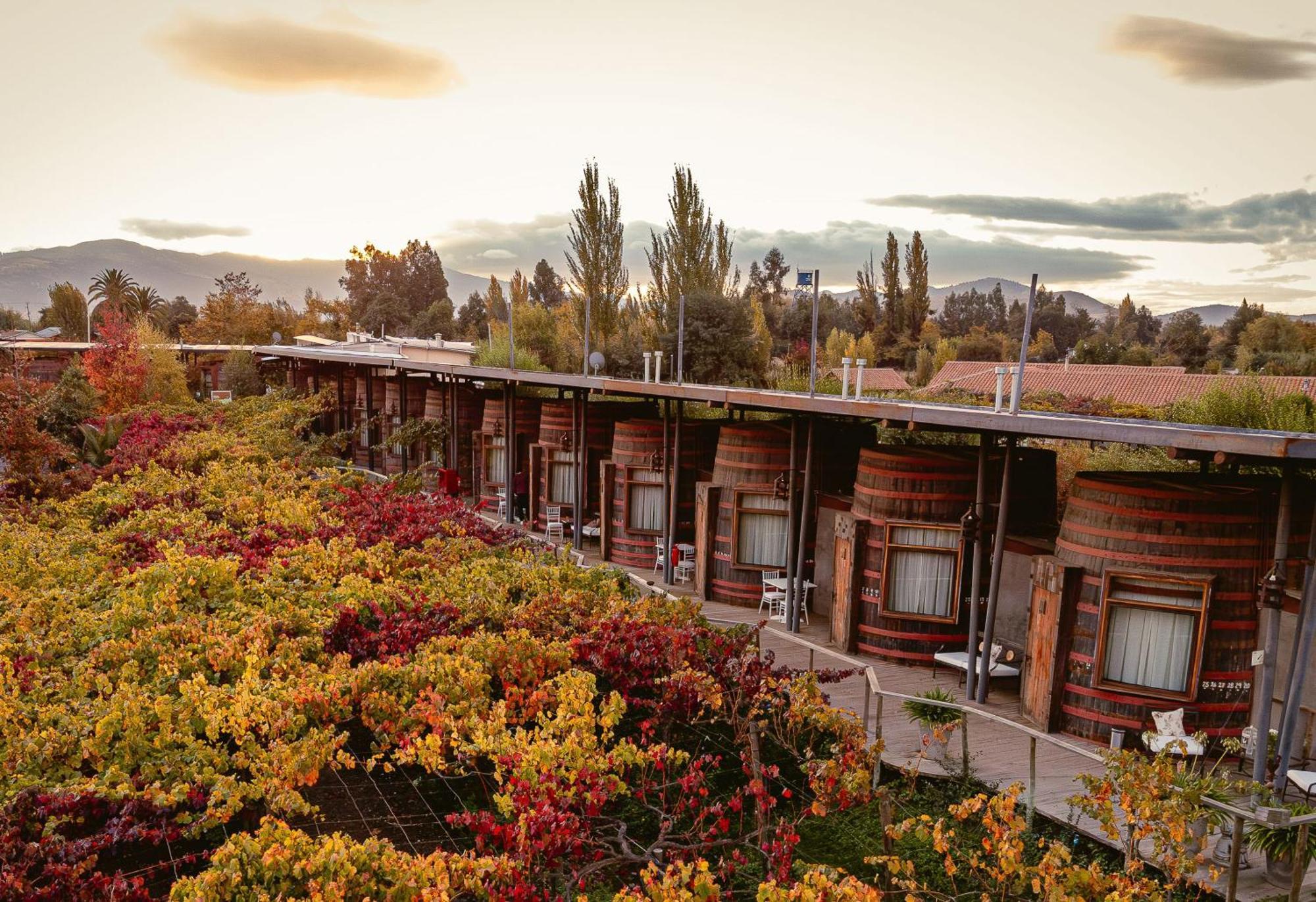 Cava Colchagua Hotel Boutique Santa Cruz Exterior photo